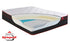 Springwall® True North Chiropractic® Argyle-Shore Firm Tight Top Mattress